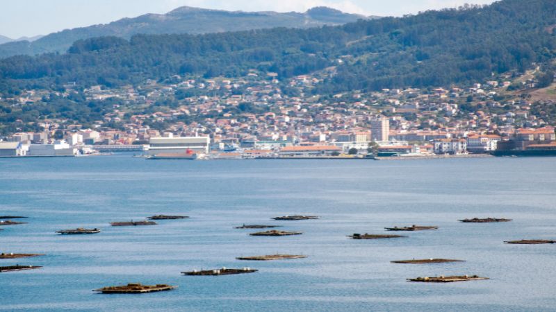 Marín - Milano Cosmetics