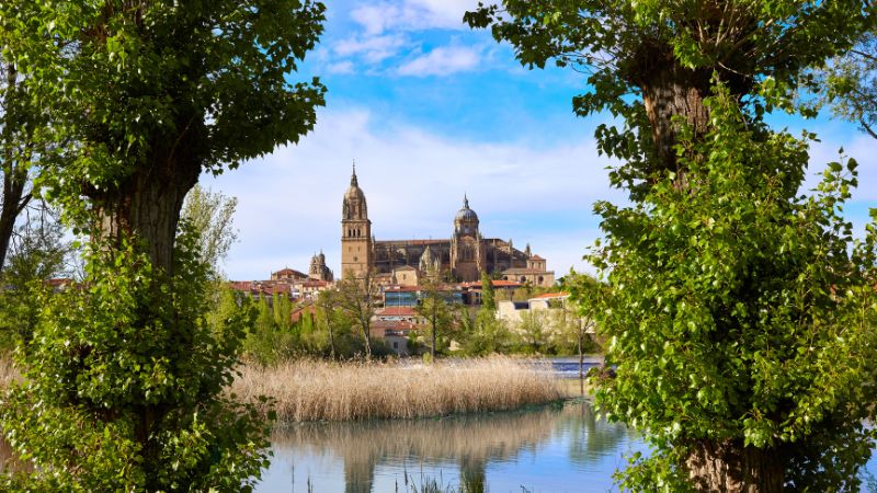 Santa Marta de Tormes - Milano Cosmetics